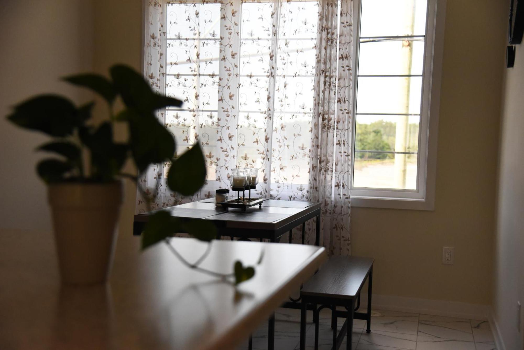 Have Whole House To Yourself Thorold Zewnętrze zdjęcie